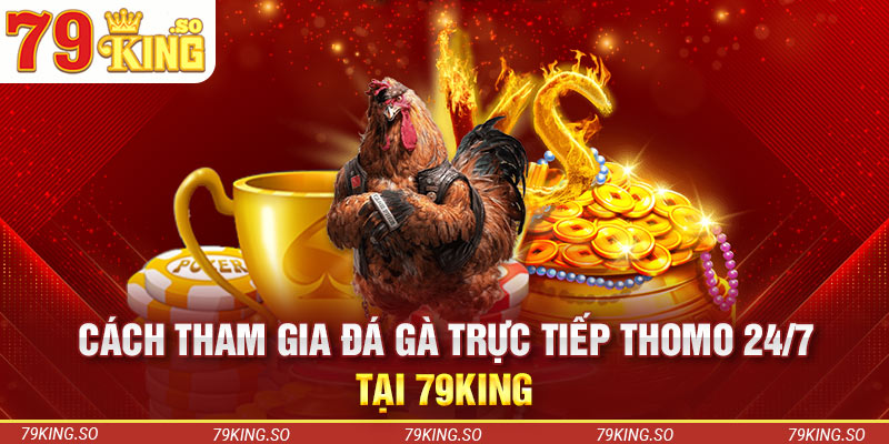 Cách tham gia đá gà trực tiếp Thomo 24/7 tại 79KING